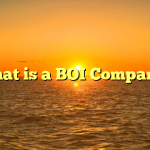 What is a BOI Company?