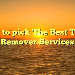 How to pick The Best Trash Remover Services