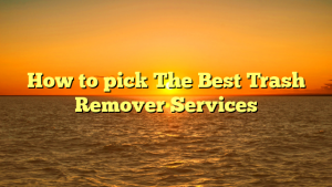 How to pick The Best Trash Remover Services