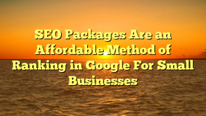 SEO Packages Are an Affordable Method of Ranking in Google For Small Businesses