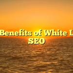 The Benefits of White Label SEO