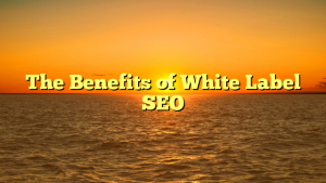 The Benefits of White Label SEO