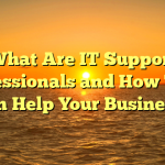 What Are IT Support Professionals and How They Can Help Your Business?