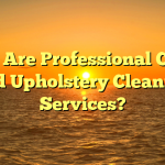 What Are Professional Carpet and Upholstery Cleaning Services?