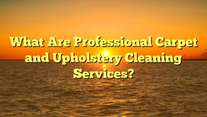 What Are Professional Carpet and Upholstery Cleaning Services?