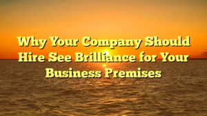 Why Your Company Should Hire See Brilliance for Your Business Premises